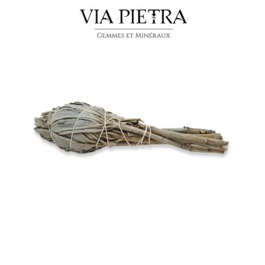 bâton fagot Sauge Salvia Apiana, purification, rituel, amérindien