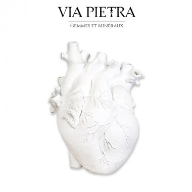 vase cœur, forme cœur ouvert, cœur organe, médical