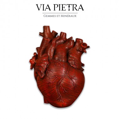 vase cœur, forme cœur ouvert, cœur organe, médical, rouge, rouge sang